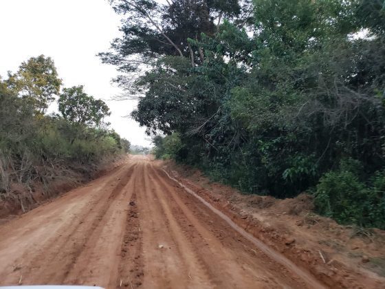 Construction d&rsquo;un dalot sur la rivière NDEPE à DISSAHAÏ et reprofilage du tronçons KOMOL DISSAHAÏ